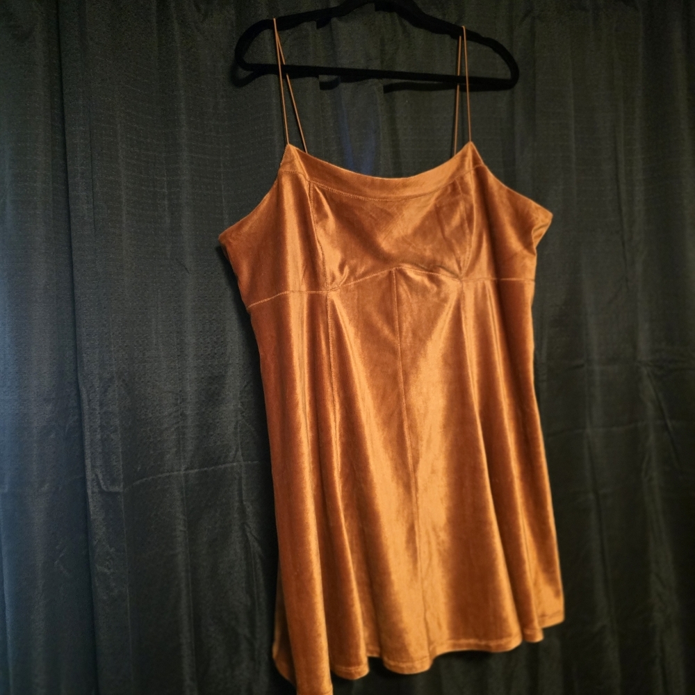 Wild Fable Copper Velvet Dress